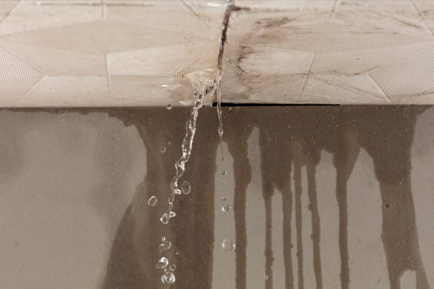 Professional Sewage Cleanup technician working in Odessa, DE